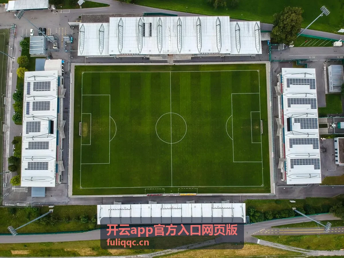 开云app官方入口网页版功能模块与安全设置界面示意