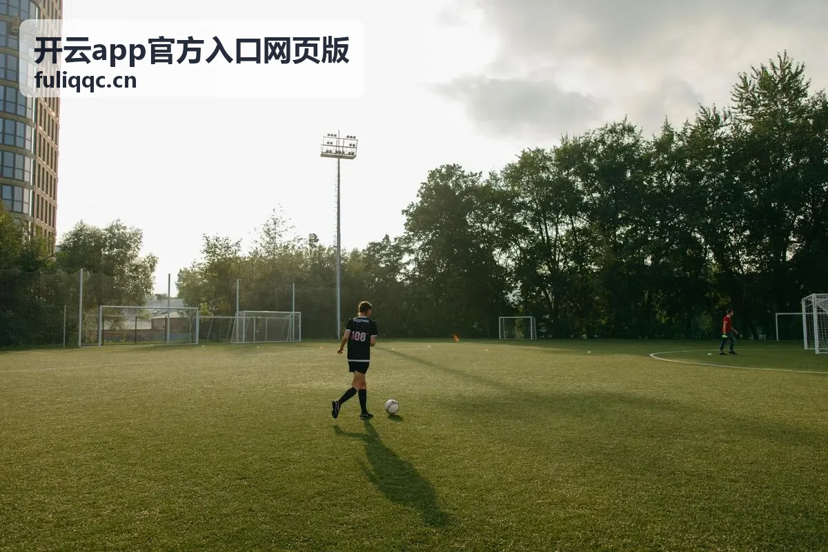 开云app官方入口网页版桌面端显示效果